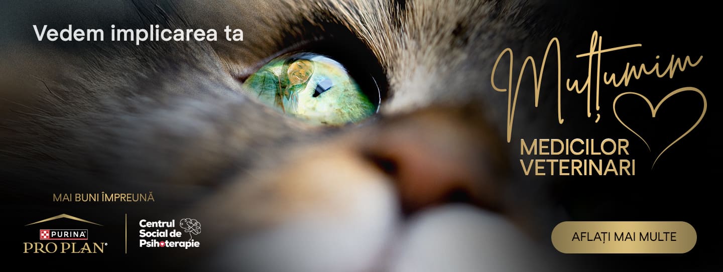 Vă mulțumim veterinari