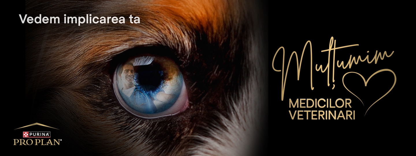 Vă mulțumim Profesioniști veterinari