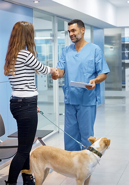 Un medic veterinar și un client își strâng mâinile într-un cabinet curat, în prezența unui câine.