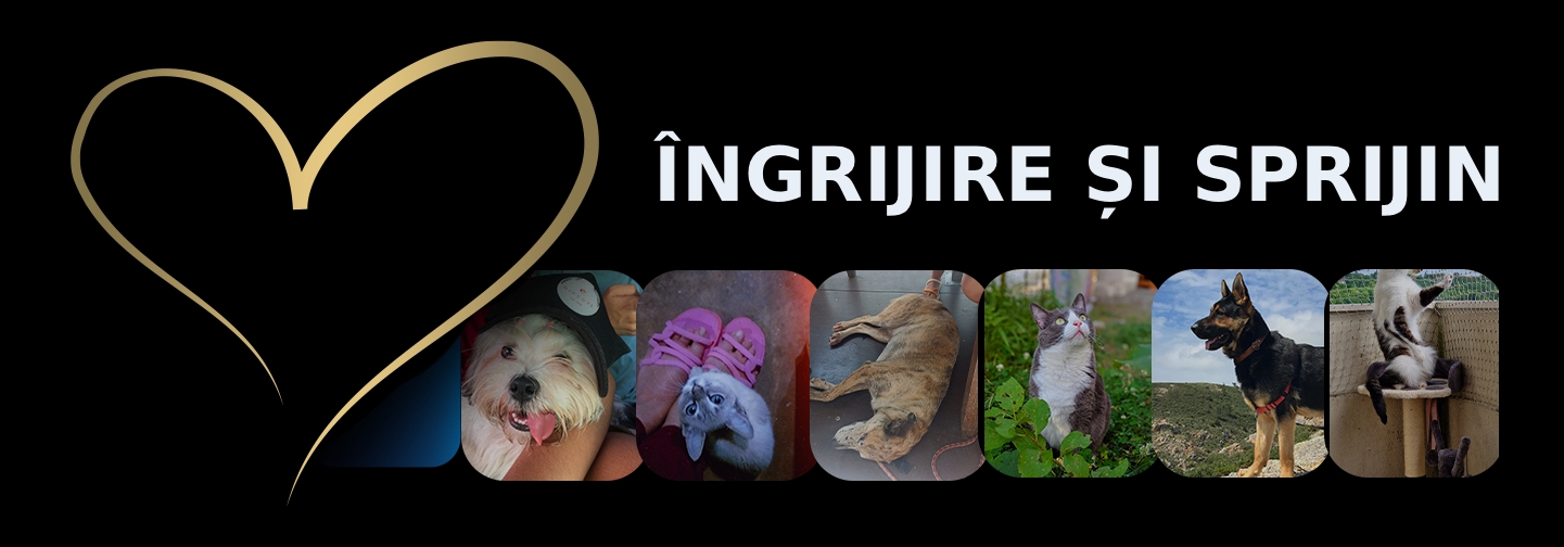 Îngrijire și sprijin