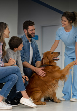 O familie cu un câine și un medic veterinar