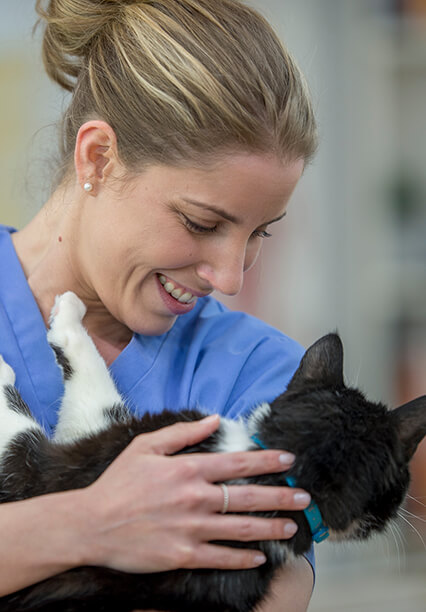 Un medic veterinar zâmbitor care ține în brațe o pisică