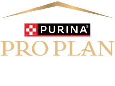 Pro Plan logo