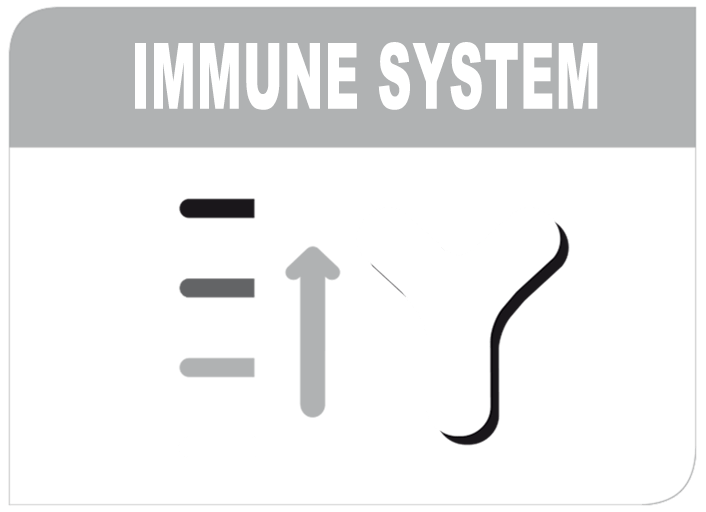 S-a dovedit clinic ca ajuta la imbunatatirea sistemului imunitar