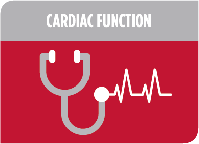 Cardiac function