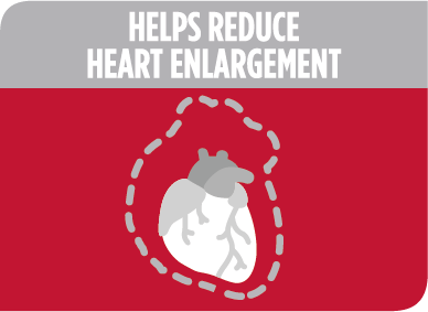 Ajuta la remedierea insuficientei cardiace