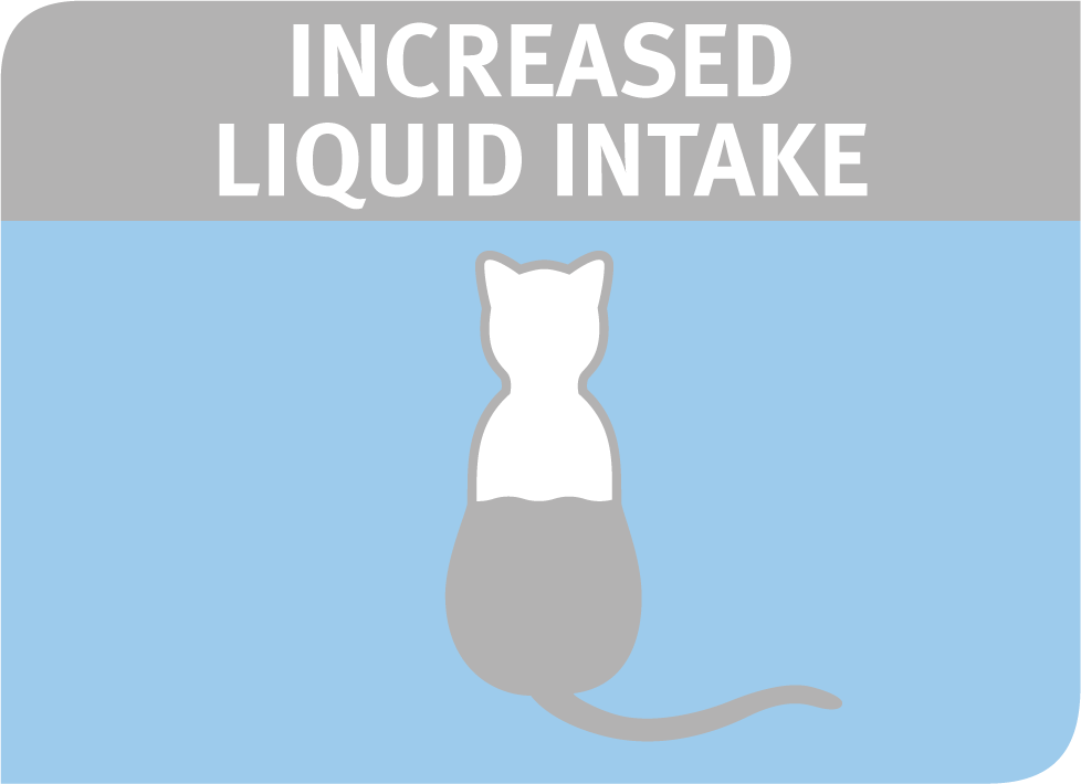 Increased liquid intake