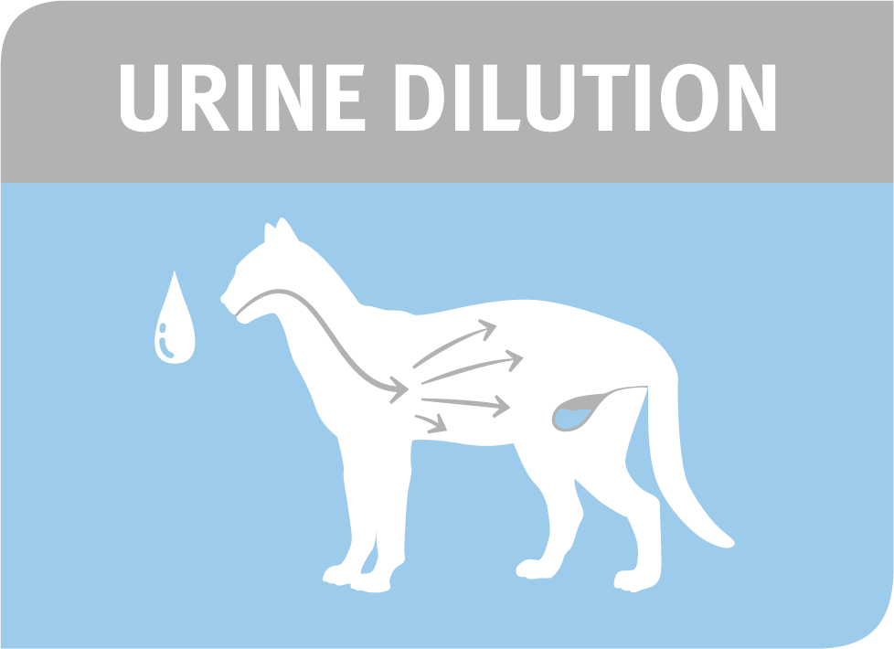 Urine dilution