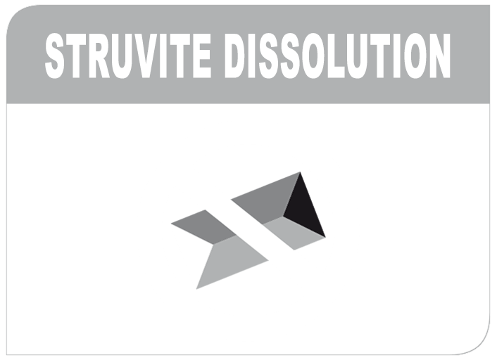 Struvite dissolution / ST dissolution