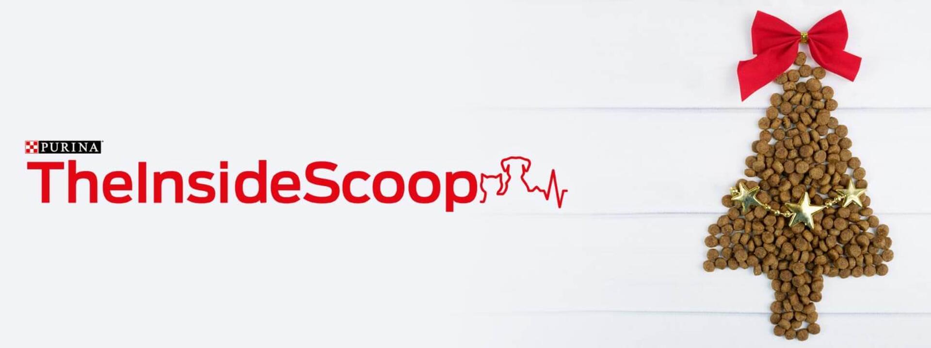 inside scoop issue 14