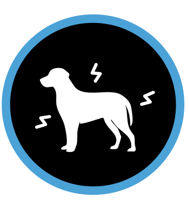 Dovedit că ajută câinii să facă față factorilor de stres externi.