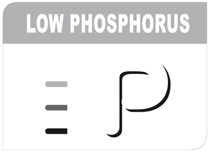 Low level of phosphorus
