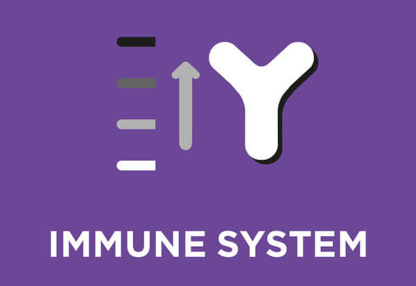 Dovedit pentru a ajuta la promovarea unui sistem imunitar puternic și de a sprijini sănătatea intestinală și echilibrul pentr