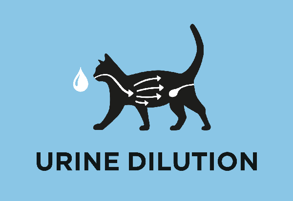 Ajută la creșterea diluției urinei și susține sănătatea urinară