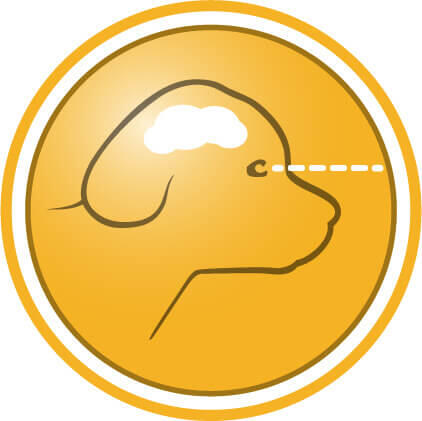 Pentru dezvoltarea creierului și a vederii sănătoase