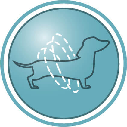 Concentrația nutrienților adaptată în mod specific