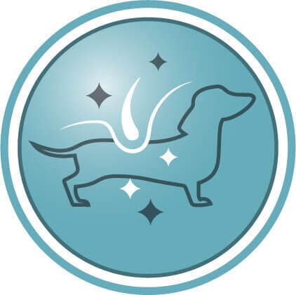 Ajută la menținerea hainei câinelui dvs. frumos strălucitoare de la rădăcină la vârf