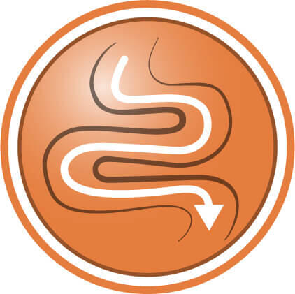 Formulă foarte ușor de digerat