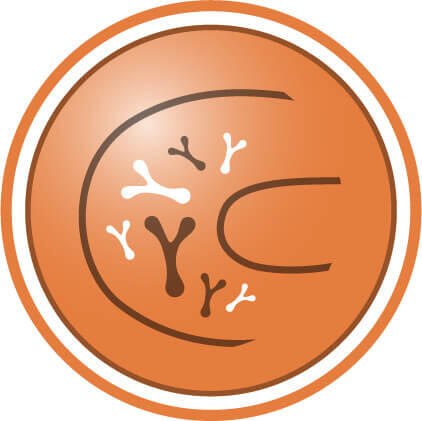 Un echilibru mai bun al microflorei intestinale