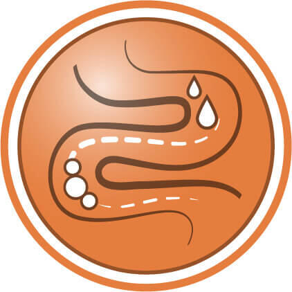 Ajută la îmbunătățirea calității fecalelor