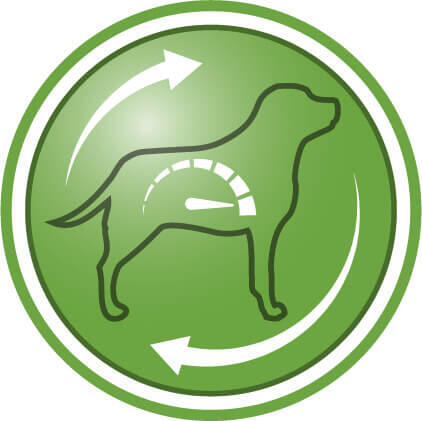 Ajută la reducerea senzației de foame și promovează sațietatea