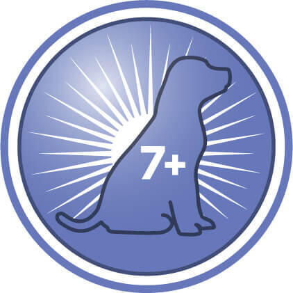 Ajută la creșterea nivelurilor de activitate, a nivelului de trai și a interacțiunii în timpul jocului câinilor mai în vârstă