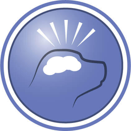 Demonstrat pentru a ajuta la susținerea funcției cognitive și creșterea nivelului de activitate