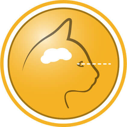 Ajută la susținerea vederii sănătoase și a dezvoltării creierului