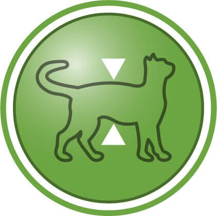 Ajută la menținerea masei corporale slabe după sterilizare