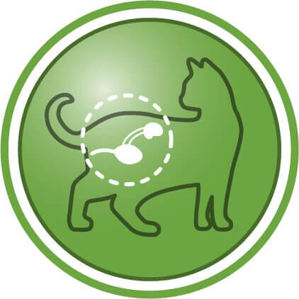 Ajută la menținerea sănătății tractului urinar la pisicile sterilizate