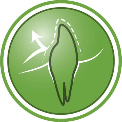 Ajută la protejarea dinților împotriva acumulării de plăci și tartru