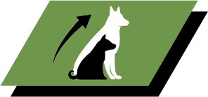 Creștere sănătoasă și sănătate pe termen lung