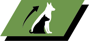 Creștere sănătoasă și sănătate pe termen lung