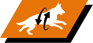 Sprijinirea articulațiilor sănătoase și a stilului de viață activ