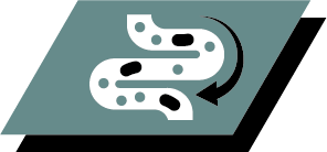 Un echilibru mai bun al microflorei intestinale