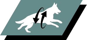 Sprijinirea articulațiilor sănătoase și a stilului de viață activ