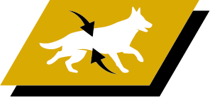 Controlul greutății