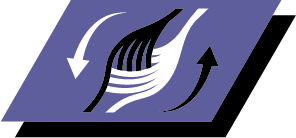 Ajută la recuperarea rapidă a mușchilor