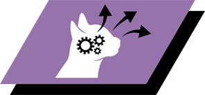 Ajută la susținerea vederii sănătoase și a dezvoltării creierului