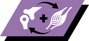 Ajută la susținerea oaselor sănătoase și creșterea musculară