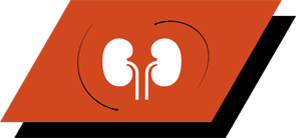 Cu arginină, antioxidanți și acizi grași omega-3 pentru a promova funcția renală sănătoasă