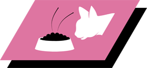 Rețetă foarte gustoasă care poate satisface chiar și cele mai agitate pisici