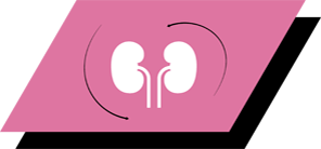 Cu arginină, antioxidanți și acizi grași omega-3 pentru a promova rinichii sănătoși