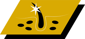 Ajută la menținerea sănătății pielii și a blănii lucioase datorită vitaminei A, acidului linoleic și zincului