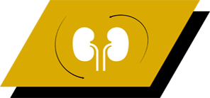 Cu arginină, antioxidanți și acizi grași omega-3 pentru a promova rinichii sănătoși