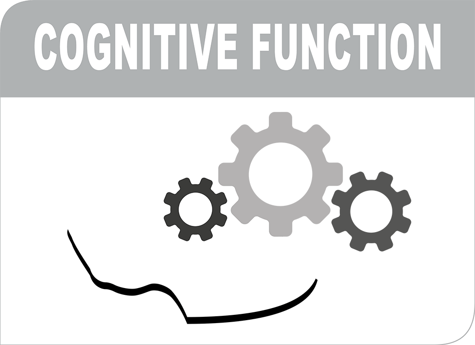 Functie cognitiva 