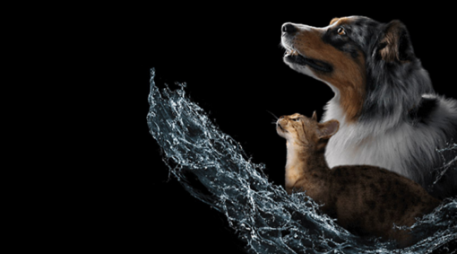 Calculator pentru consumul de apă