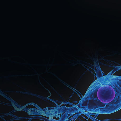 Peste 400 de publicații științifice