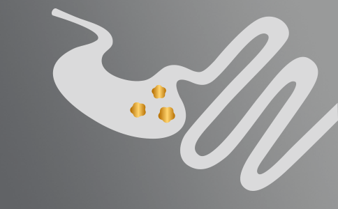 Sănătatea Gastrointestinala