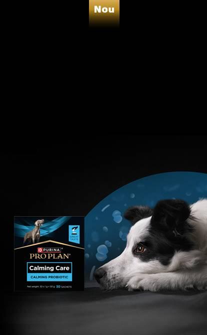 Banner principal Purina Pro Plan Calming Care